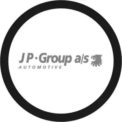 JP Group 1514650200 - Guarnizione, Termostato autozon.pro