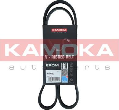 Kamoka 7016061 - Cinghia Poly-V autozon.pro