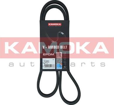 Kamoka 7016081 - Cinghia Poly-V autozon.pro