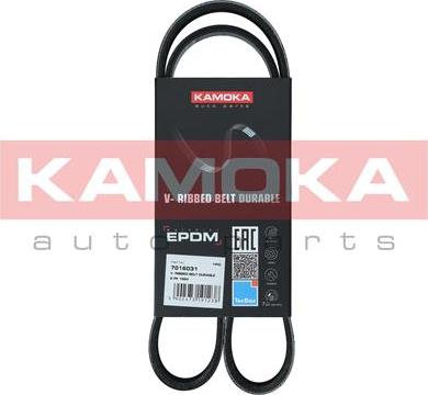 Kamoka 7016031 - Cinghia Poly-V autozon.pro