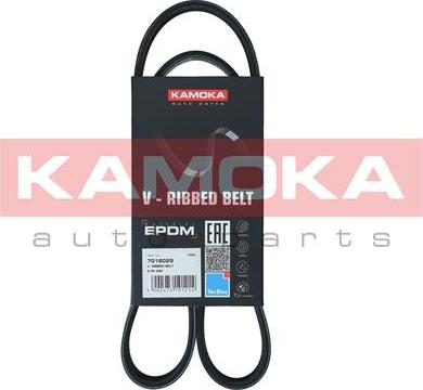 Kamoka 7016029 - Cinghia Poly-V autozon.pro