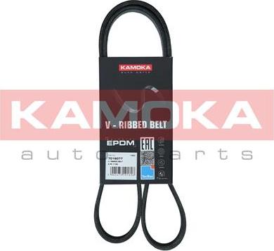 Kamoka 7016077 - Cinghia Poly-V autozon.pro