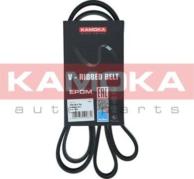 Kamoka 7016174 - Cinghia Poly-V autozon.pro