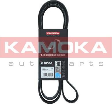 Kamoka 7016173 - Cinghia Poly-V autozon.pro