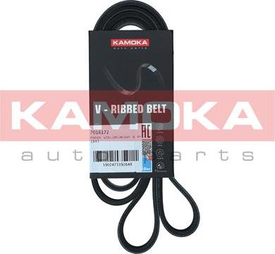 Kamoka 7016172 - Cinghia Poly-V autozon.pro