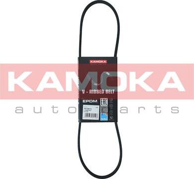 Kamoka 7013013 - Cinghia Poly-V autozon.pro