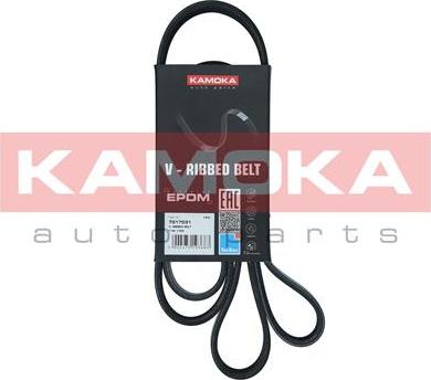 Kamoka 7017031 - Cinghia Poly-V autozon.pro