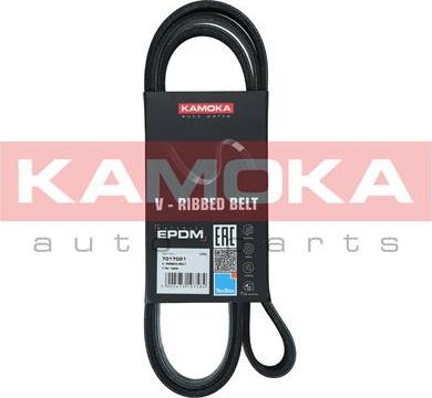 Kamoka 7017021 - Cinghia Poly-V autozon.pro