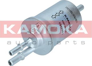 Kamoka F319901 - Filtro carburante autozon.pro