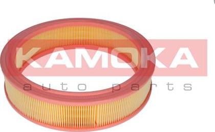 Kamoka F209301 - Filtro aria autozon.pro