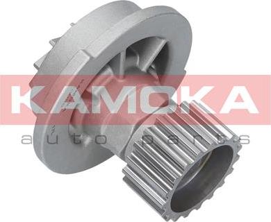 Kamoka T0066 - Pompa acqua autozon.pro