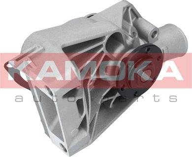 Kamoka T0250 - Pompa acqua autozon.pro