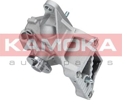 Kamoka T0239 - Pompa acqua autozon.pro