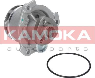 Kamoka T0234 - Pompa acqua autozon.pro