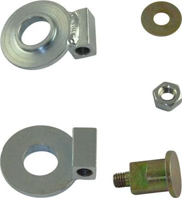 Kavo Parts DIP-8004 - Galoppino / Guidacinghia, Cinghia Poly-V autozon.pro