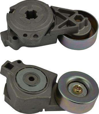 Kavo Parts DTP-5504 - Galoppino / Guidacinghia, Cinghia Poly-V autozon.pro