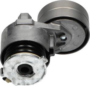 Kavo Parts DTP-6509 - Galoppino / Guidacinghia, Cinghia Poly-V autozon.pro