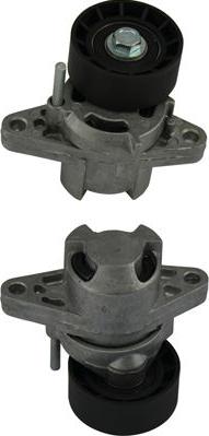 Kavo Parts DTP-6504 - Galoppino / Guidacinghia, Cinghia Poly-V autozon.pro