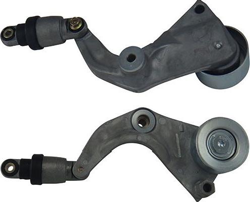 Kavo Parts DTP-2002 - Galoppino / Guidacinghia, Cinghia Poly-V autozon.pro