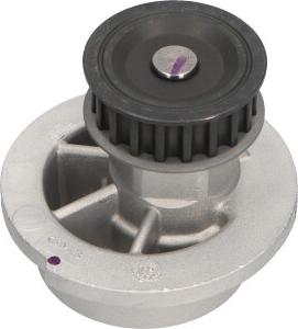 Kavo Parts DW-1002 - Pompa acqua autozon.pro