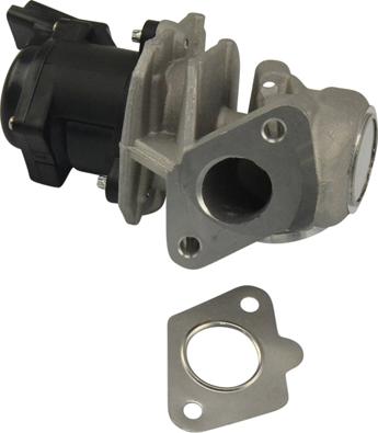 Kavo Parts EEG-9004 - Valvola ricircolo gas scarico-EGR autozon.pro