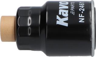 Kavo Parts NF-2461 - Filtro carburante autozon.pro