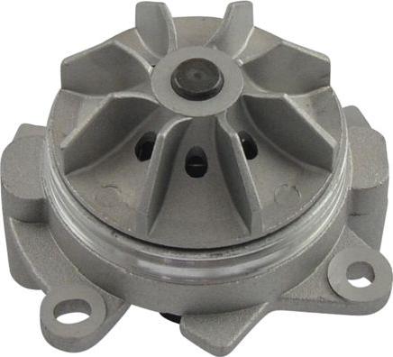 Kavo Parts NW-3283 - Pompa acqua autozon.pro