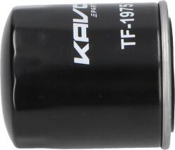 Kavo Parts TF-1975 - Filtro carburante autozon.pro