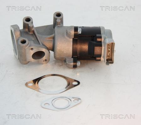 Kawe 8813 10008 - Valvola ricircolo gas scarico-EGR autozon.pro