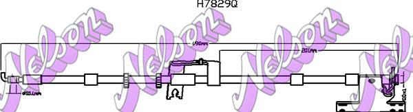 Kawe H7829Q - Flessibile del freno autozon.pro