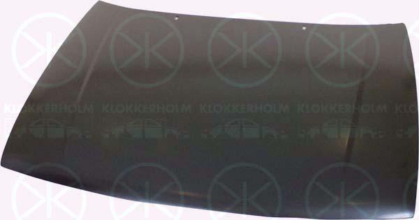 Klokkerholm 6607280 - Cofano motore autozon.pro