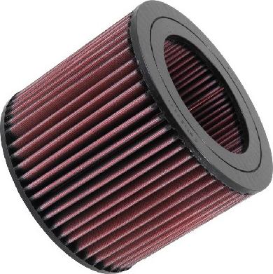 K&N Filters E-2443 - Filtro aria autozon.pro