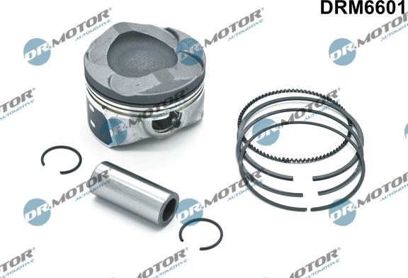 Lizarte DRM6601 - Pistone autozon.pro