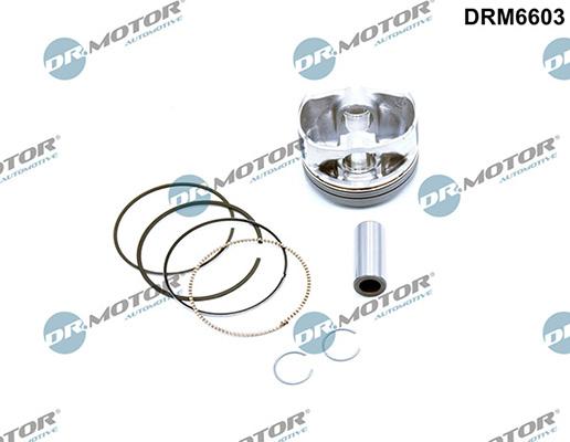 Lizarte DRM6603 - Pistone autozon.pro