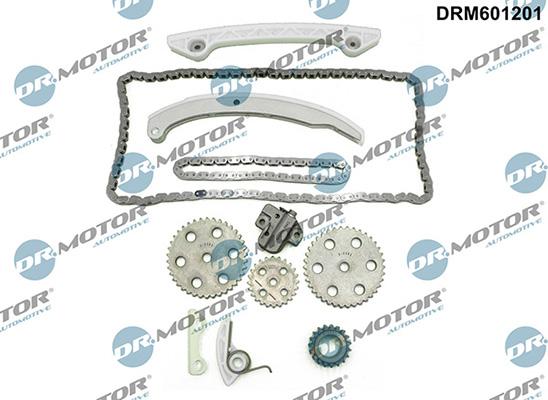 Lizarte DRM601201 - Kit catena distribuzione autozon.pro