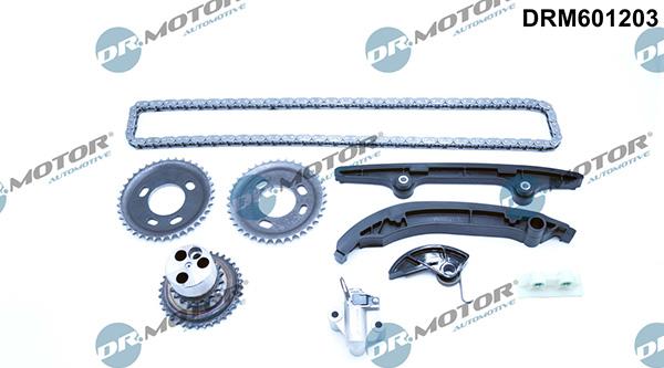 Lizarte DRM601203 - Kit catena distribuzione autozon.pro