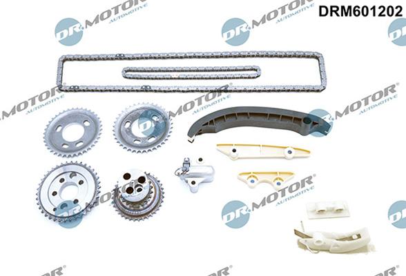 Lizarte DRM601202 - Kit catena distribuzione autozon.pro