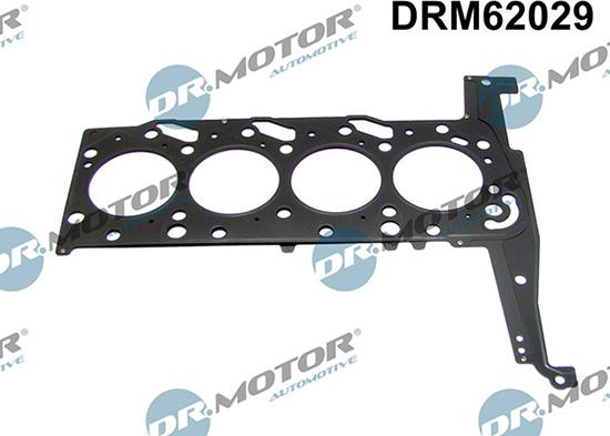 Lizarte DRM62029 - Guarnizione, Testata autozon.pro