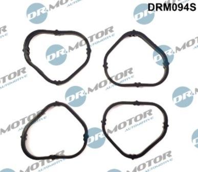 Lizarte DRM094S - Kit guarnizioni, Collettore aspirazione autozon.pro