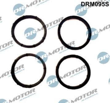 Lizarte DRM095S - Kit guarnizioni, Collettore aspirazione autozon.pro