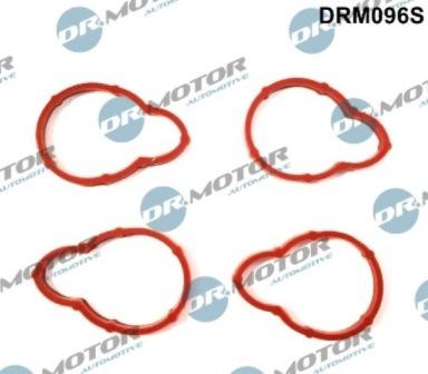 Lizarte DRM096S - Kit guarnizioni, Collettore aspirazione autozon.pro