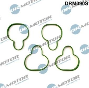 Lizarte DRM090S - Kit guarnizioni, Collettore aspirazione autozon.pro