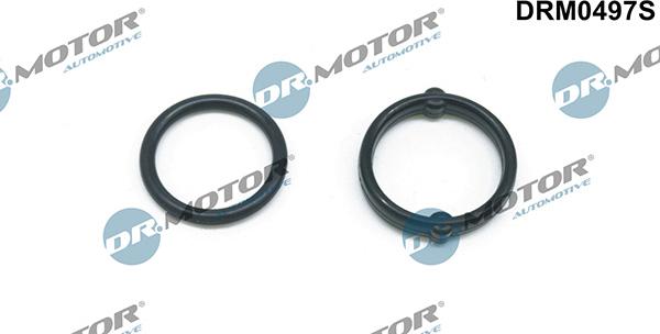 Lizarte DRM0497S - Kit guarnizioni, Radiatore olio autozon.pro