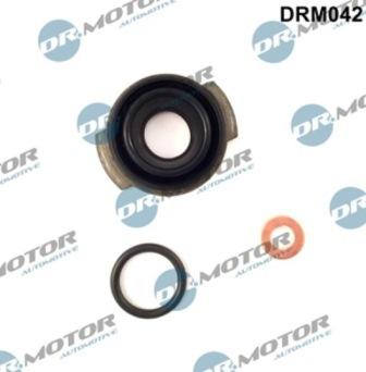 Lizarte DRM042 - Kit guarnizioni, Iniettore autozon.pro