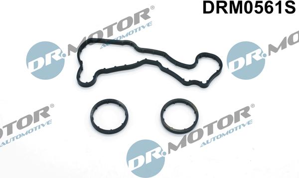 Lizarte DRM0561S - Kit guarnizioni, Radiatore olio autozon.pro