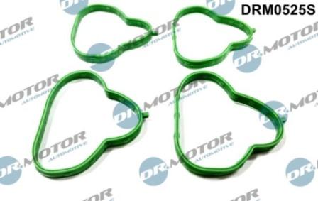 Lizarte DRM0525S - Kit guarnizioni, Collettore aspirazione autozon.pro