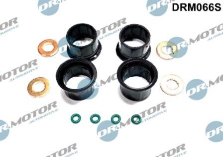 Lizarte DRM066S - Kit guarnizioni, Iniettore autozon.pro