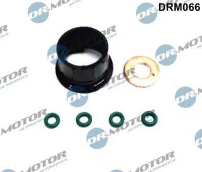 Lizarte DRM066 - Kit guarnizioni, Iniettore autozon.pro