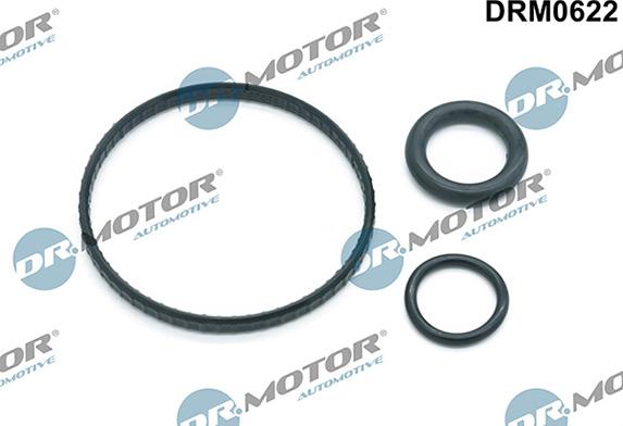 Lizarte DRM0622 - Kit guarnizioni, Radiatore olio autozon.pro