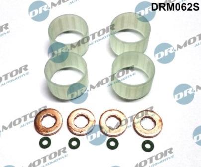 Lizarte DRM062S - Kit guarnizioni, Iniettore autozon.pro